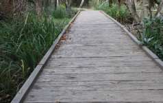 Recycled plastic decking for wetland areas