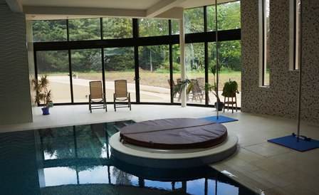 Luxury Curved Doors in pool room