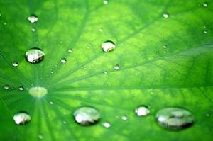 Hydrophobic Effects – How to Create them and Why